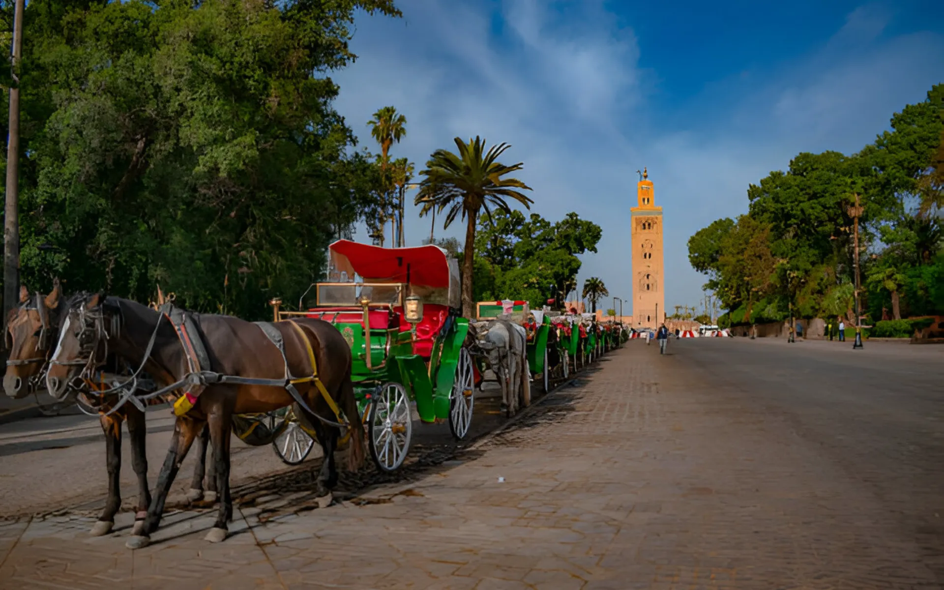 horse drawn marrakech