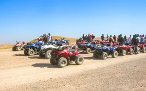 Quad Ride in the Palm Grove of Marrakech