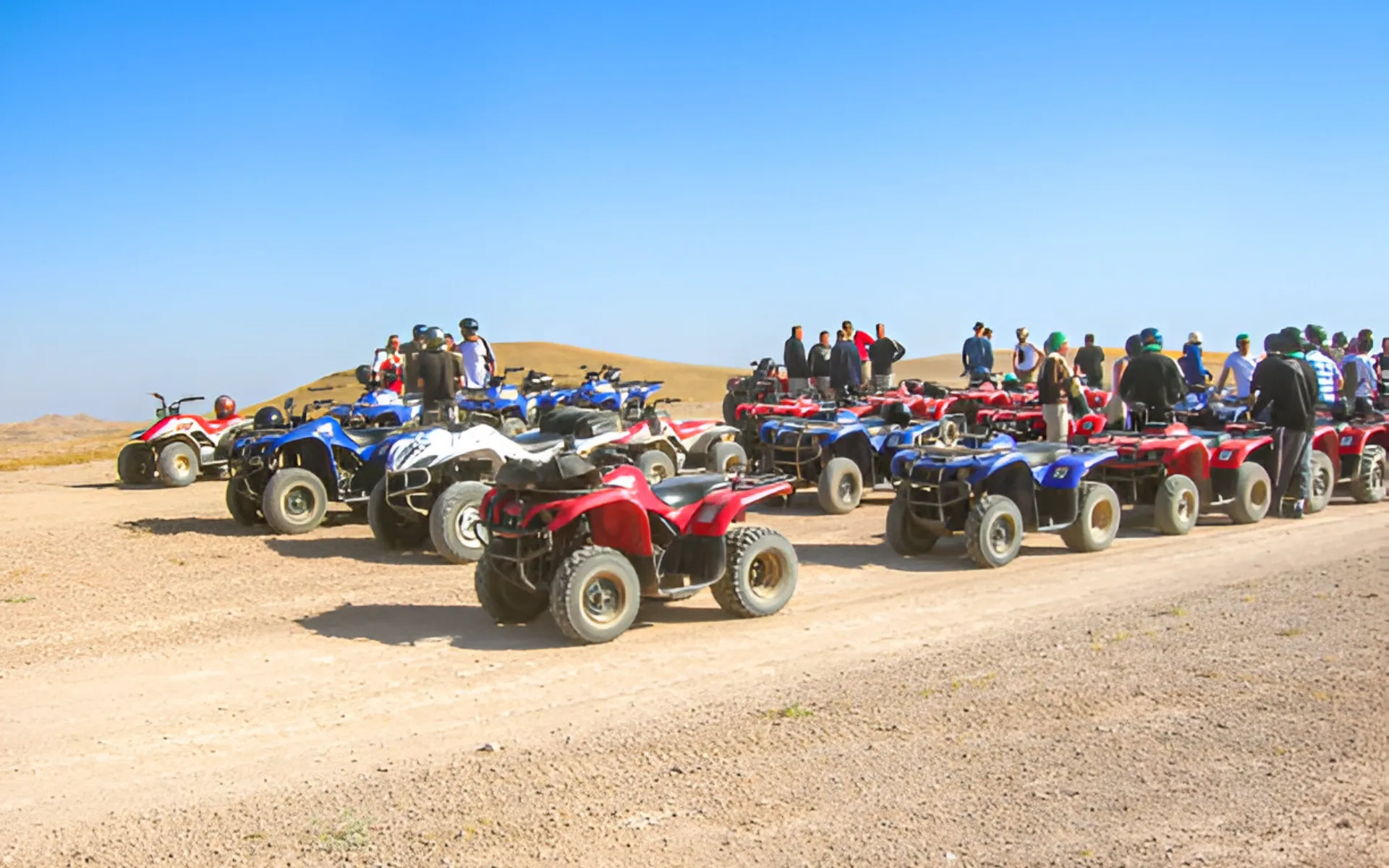 Quad Ride in the Palm Grove of Marrakech