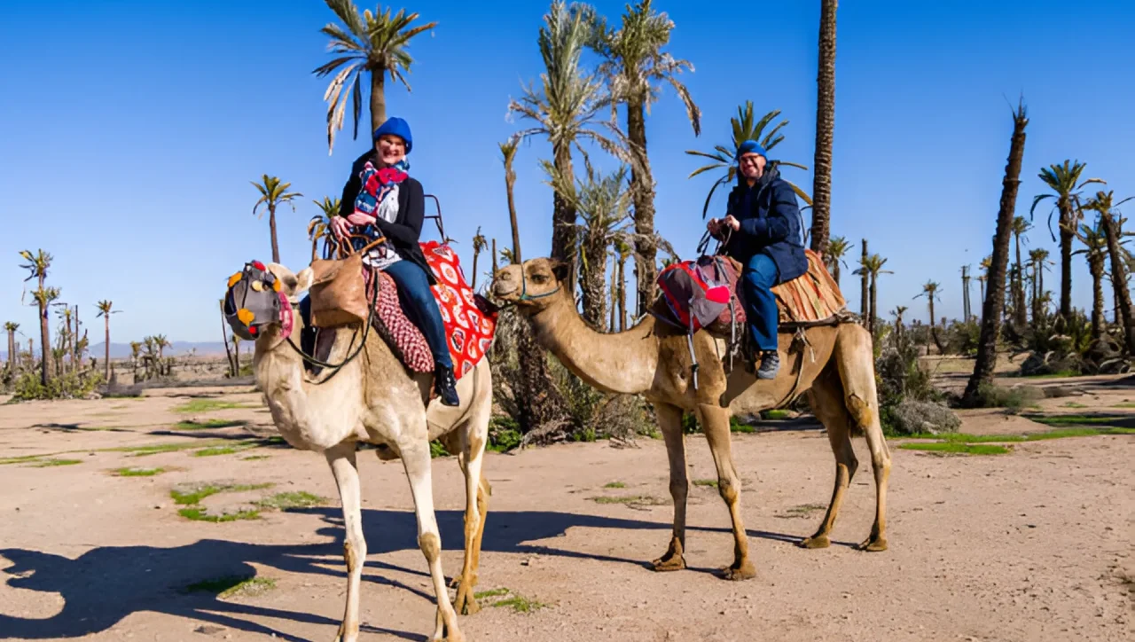 camel ride in marrakech