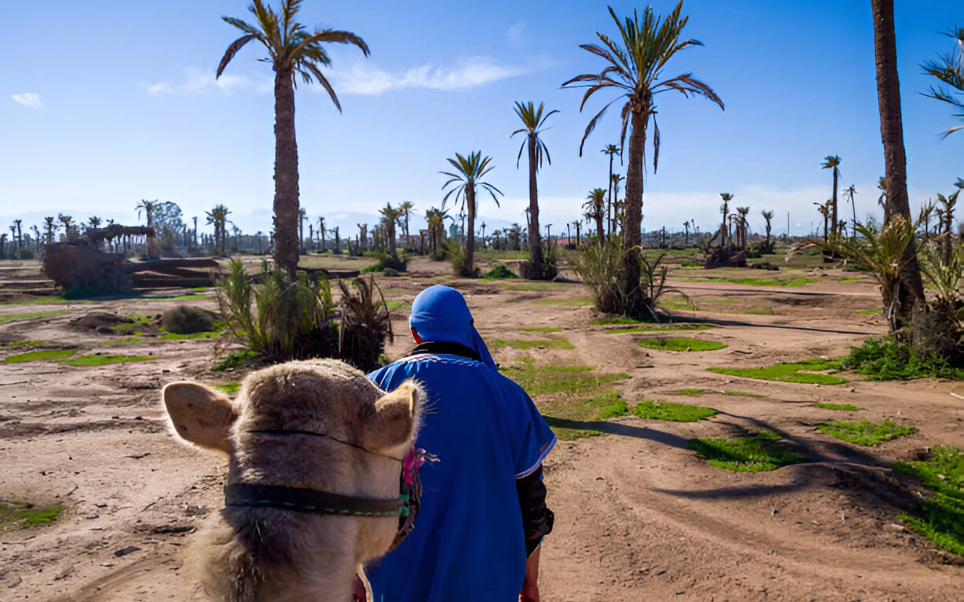 camel ride in marrakech