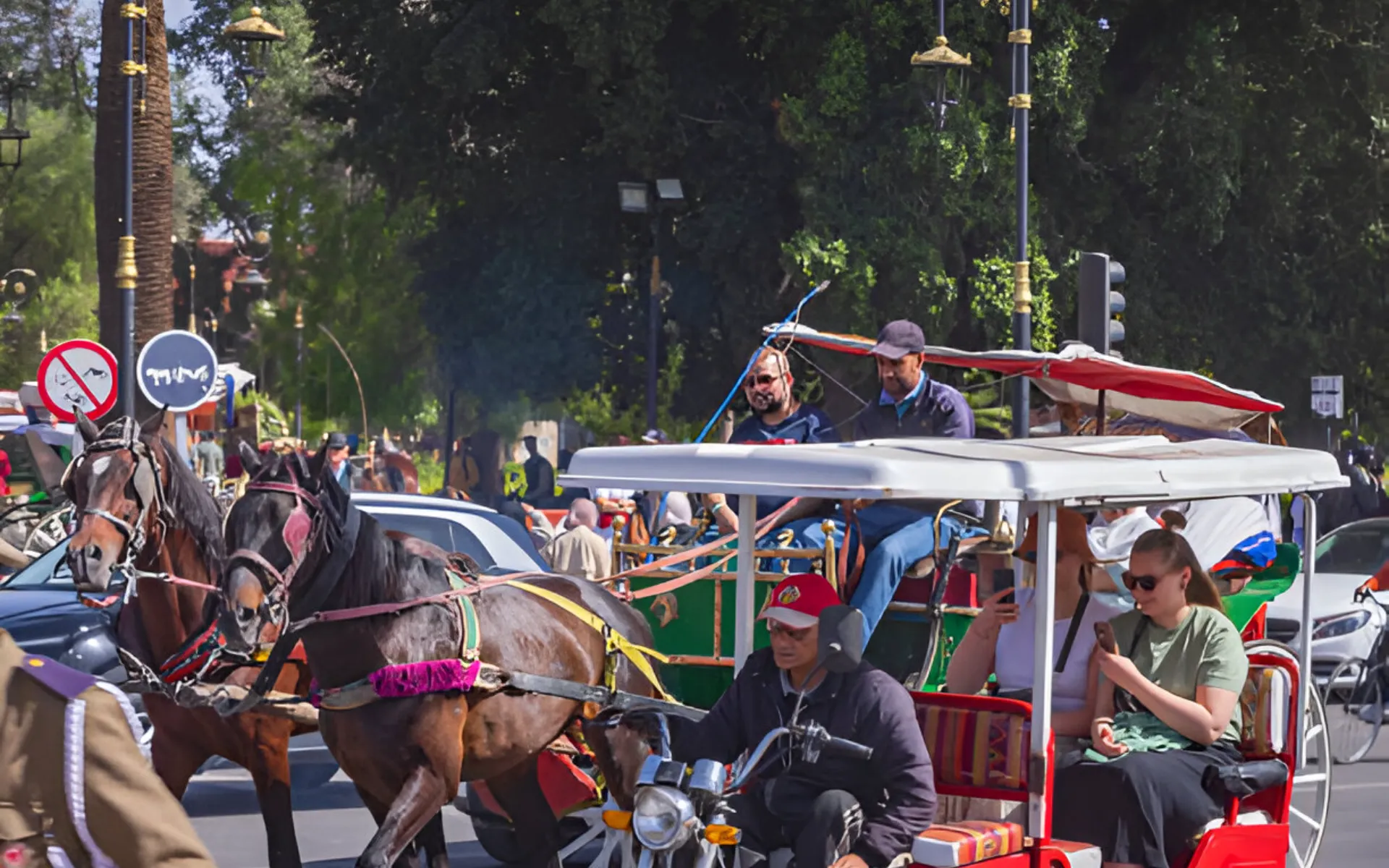 horse drawn marrakech