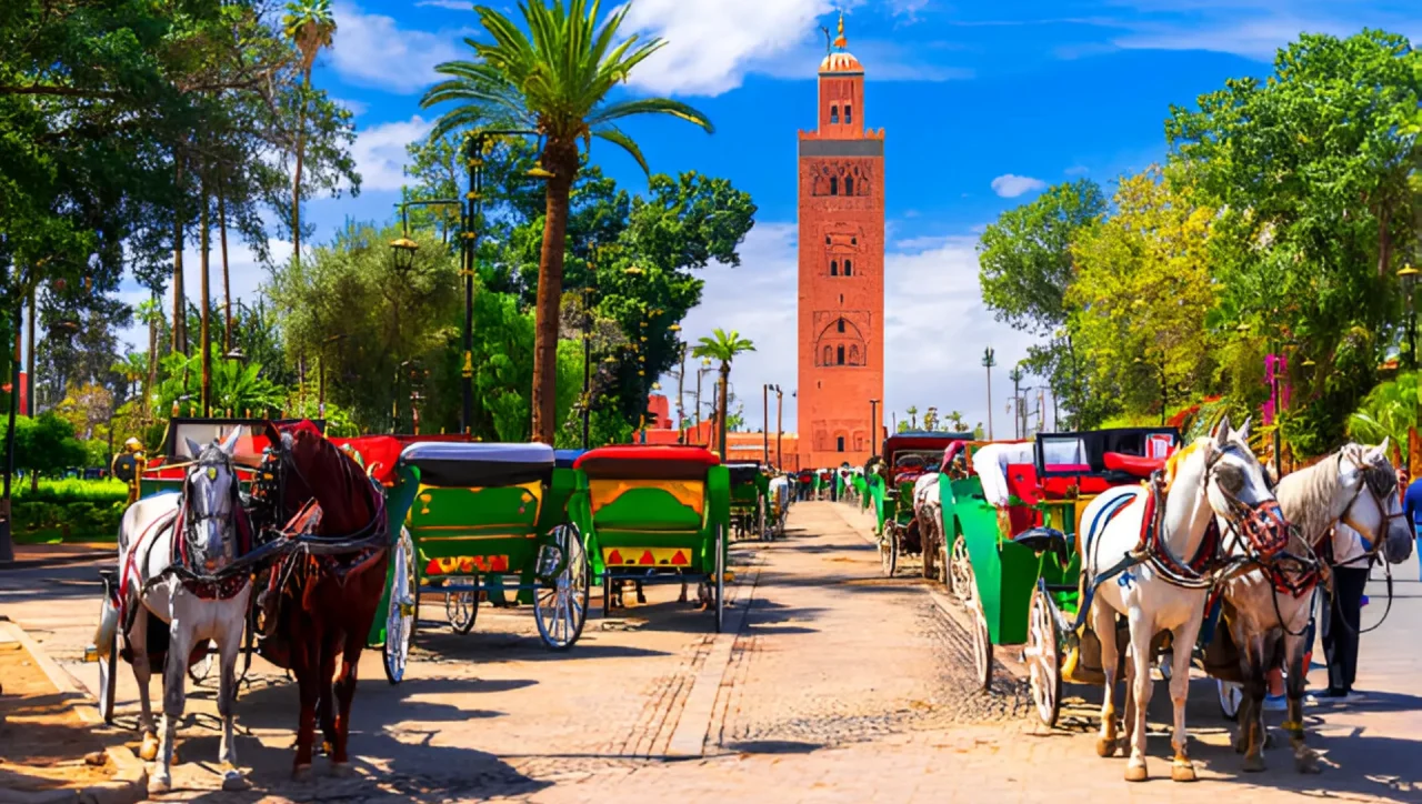horse drawn marrakech