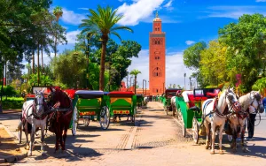 Horse-drawn Carriage Ride in Marrakech