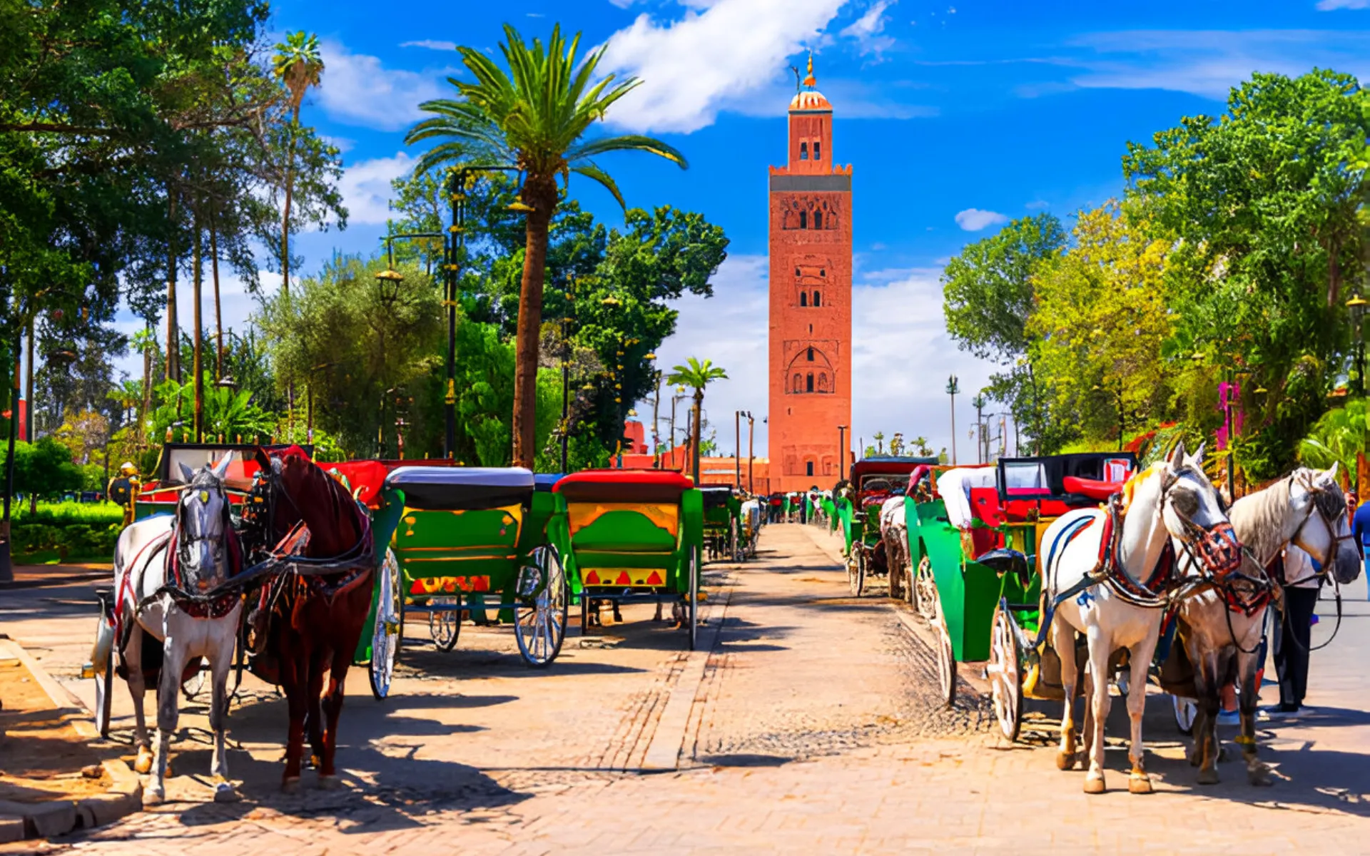 Horse-drawn Carriage Ride in Marrakech