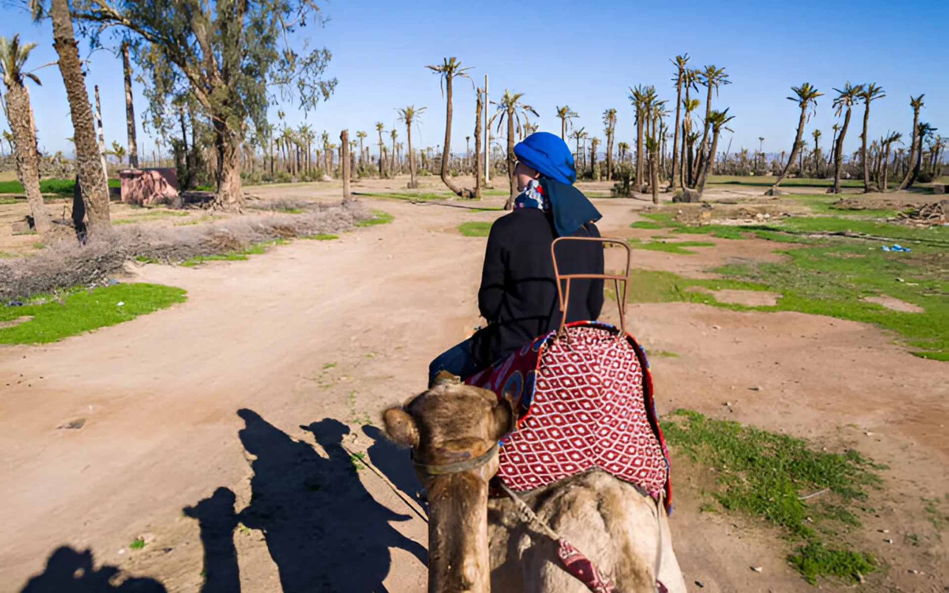 camel ride in marrakech