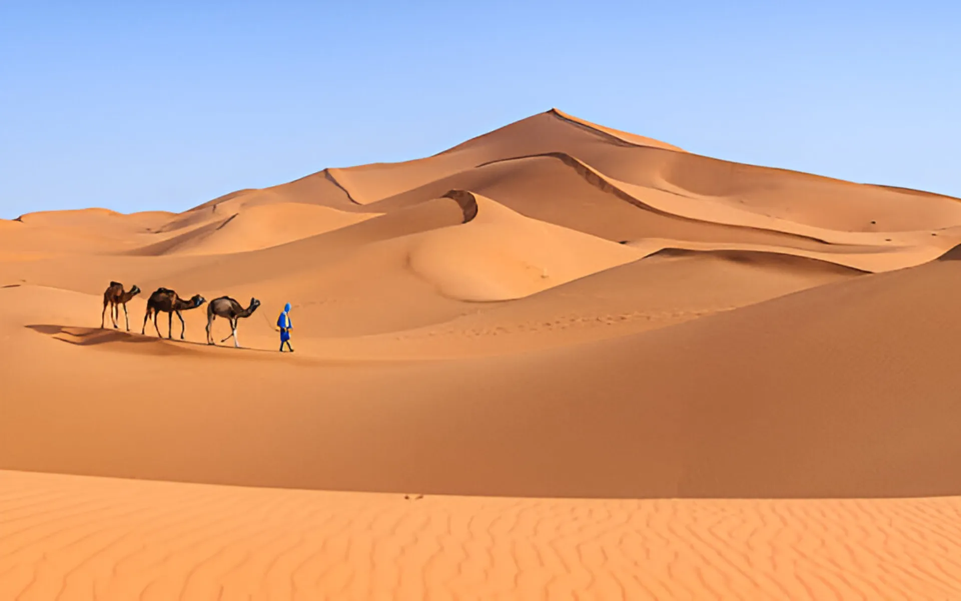 moroccan desert
