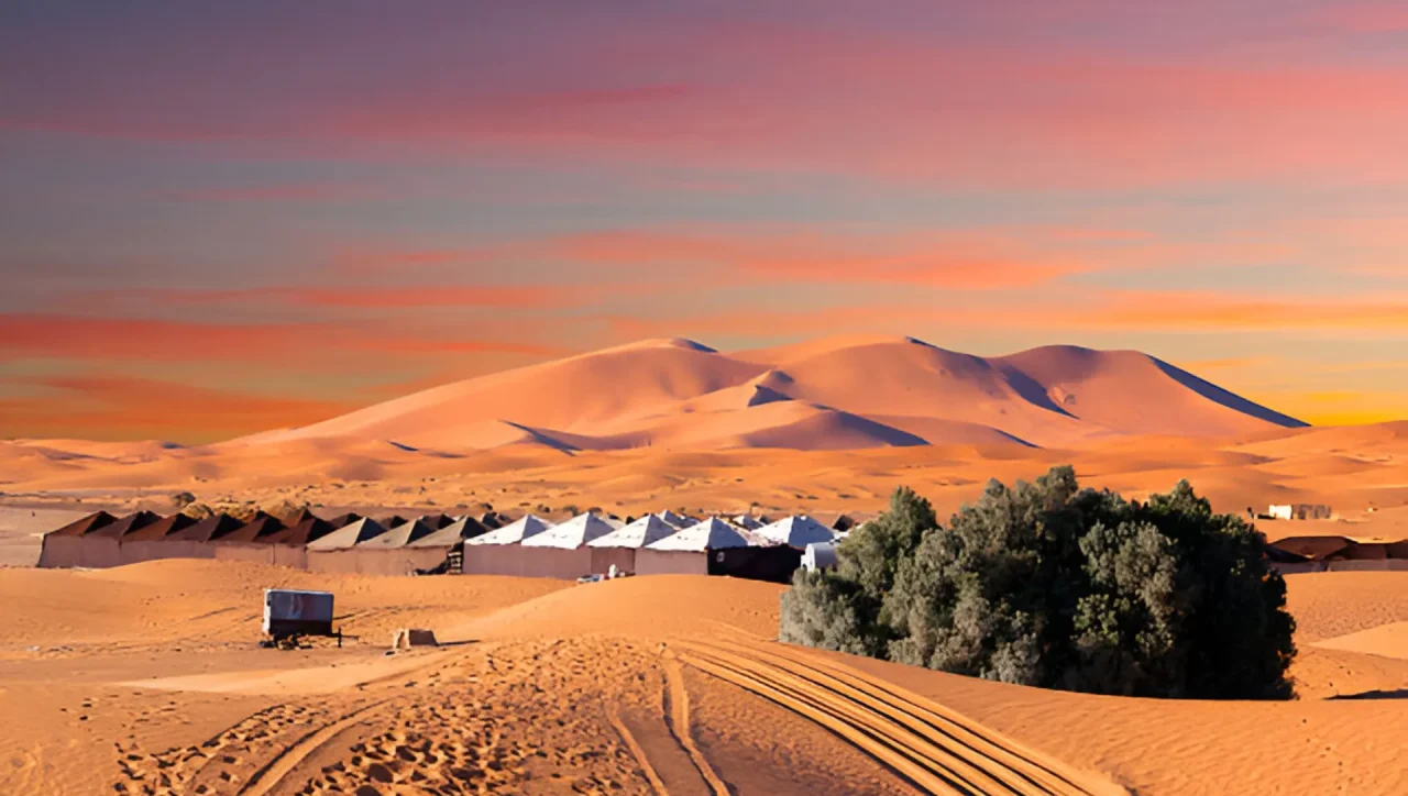 desert camp