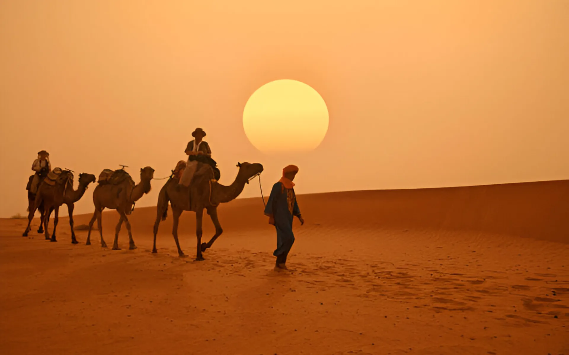 camel ride in desert