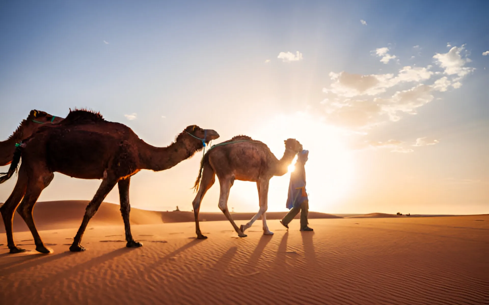 2 Day Tour to the Zagora Desert