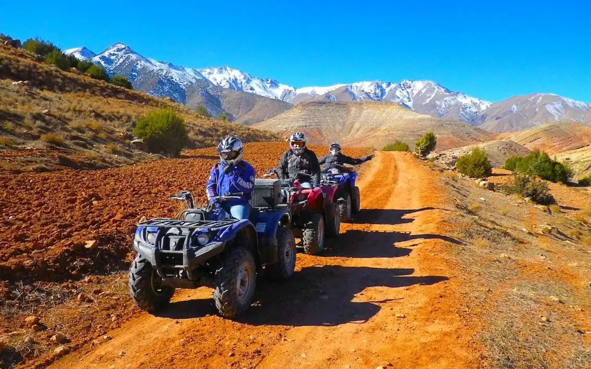 Quad bike