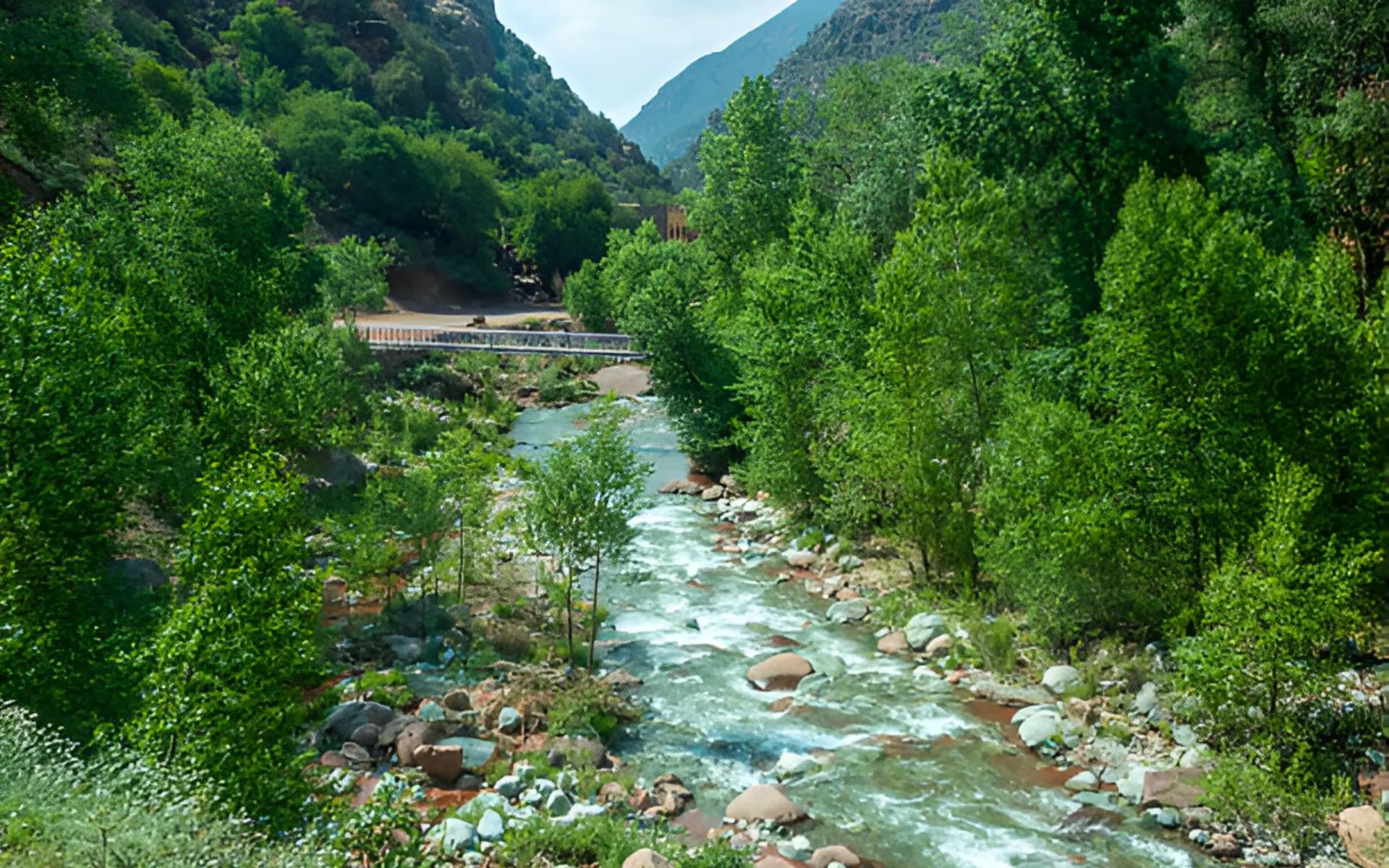 Day Trip to the Ourika Valley
