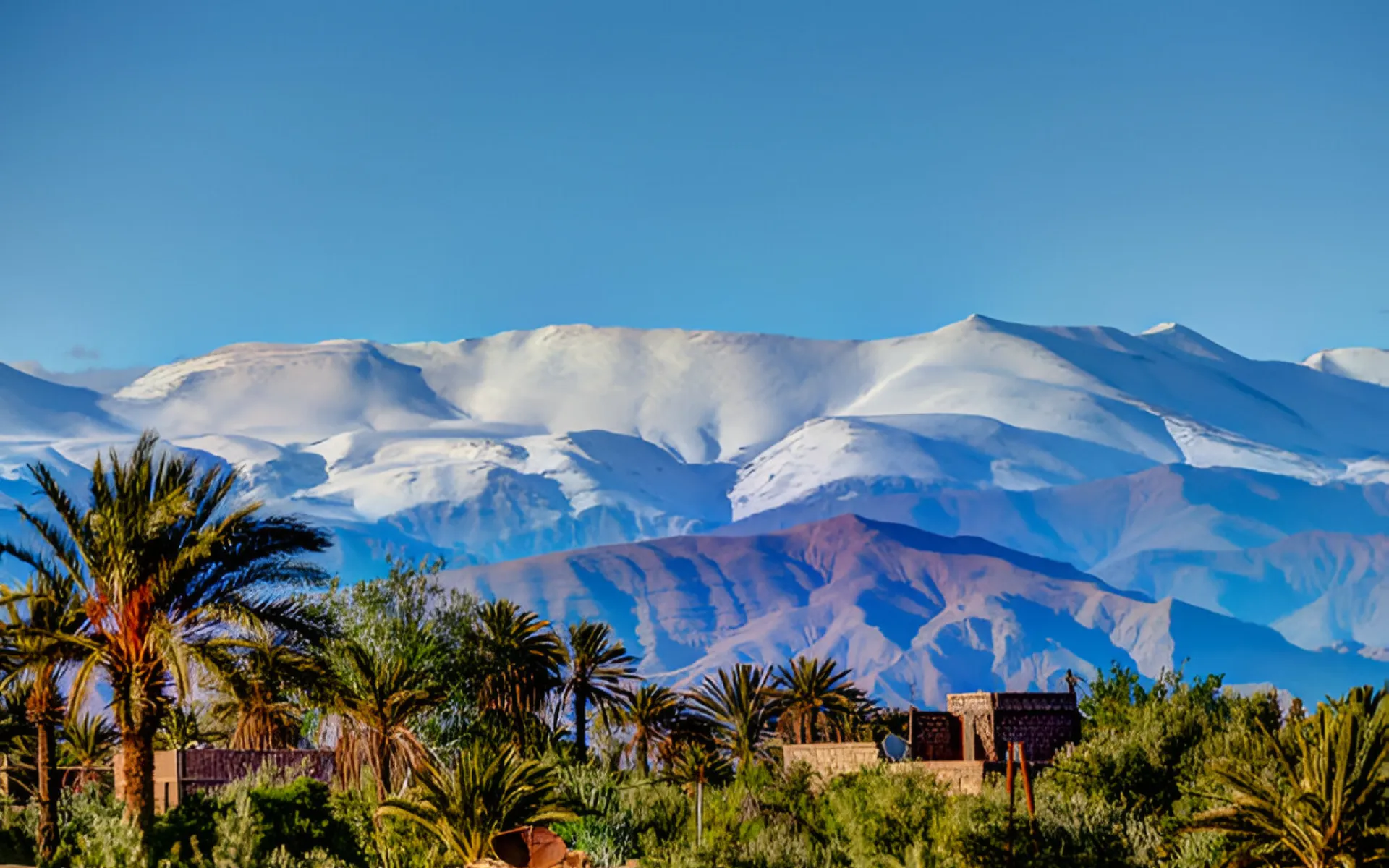 Excursion to the Three Valleys of the Atlas