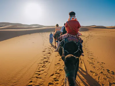 camel