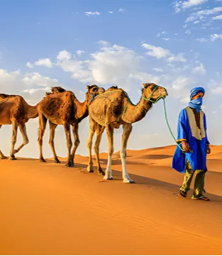 Visit desert